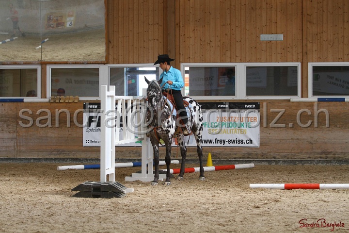 26-ApHC GT_071.jpg